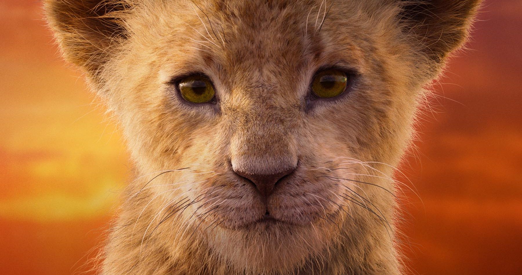 Hear Beyonce &amp; Donald Glover's Can You Feel the Love Tonight in New Lion King TV Spot