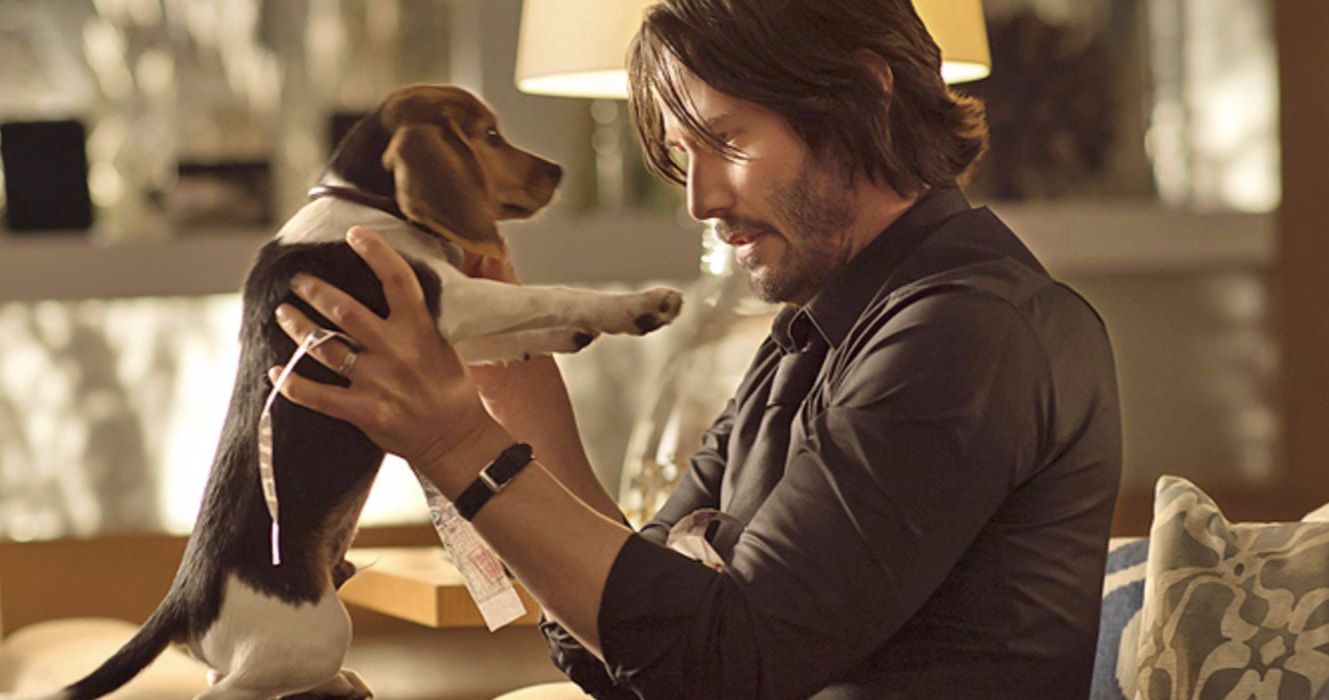 John Wick Directors Were Ordered Not to Kill the Dog, But Did Anyway