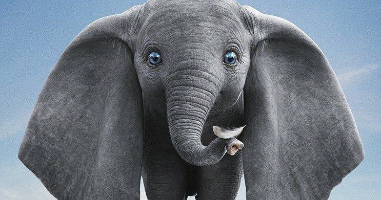 Dumbo International Trailer Makes This Elephant Soar