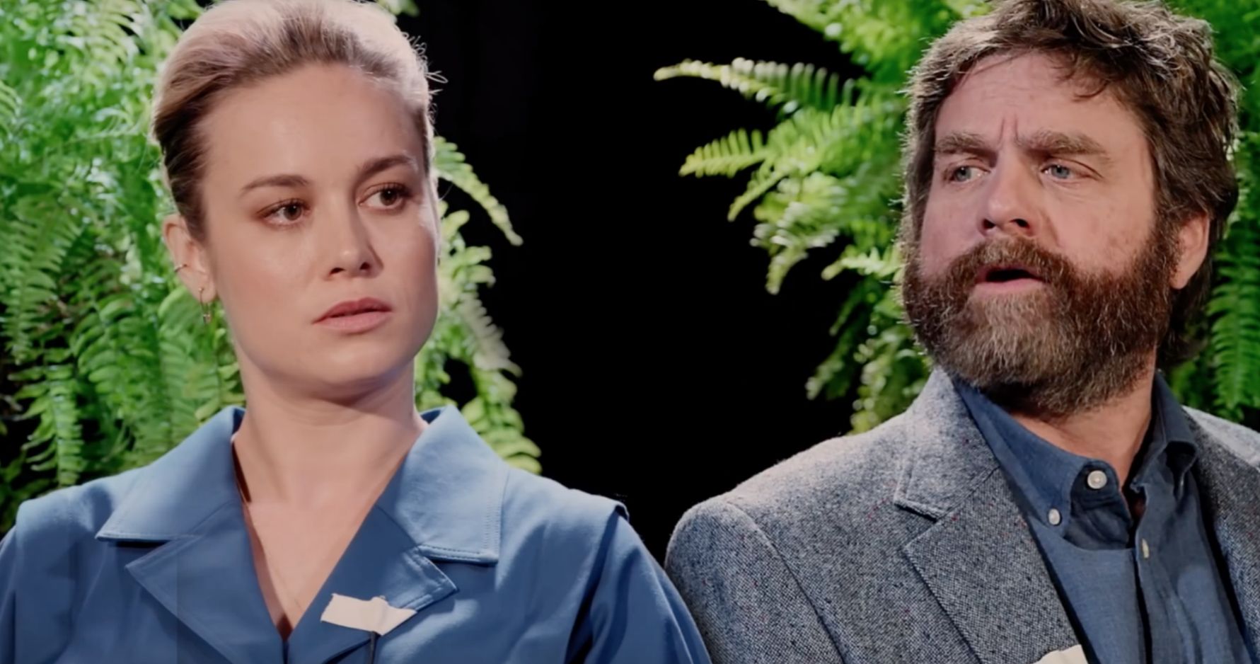 Between Two Ferns: The Movie Trailer Takes Zach Galifianakis on an All-Star Road Trip