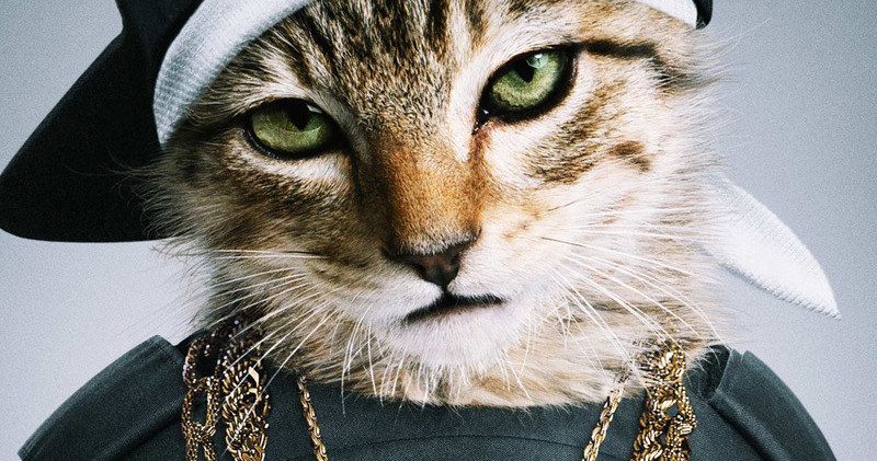 Keanu Red Band Trailer: Key &amp; Peele Try to Save a Cat