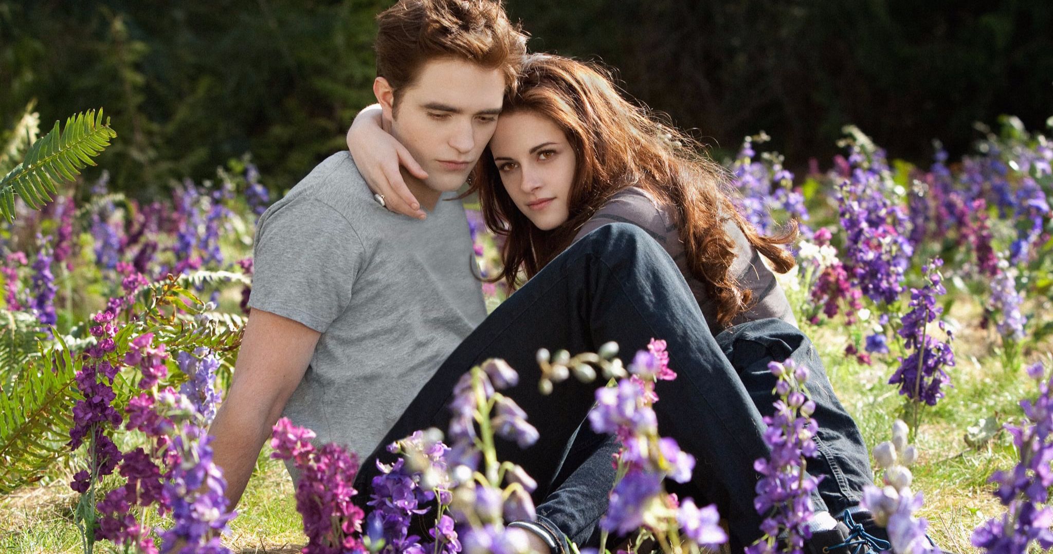 New Twilight Book Adds a Missing Scene That's Always Driven the Author Crazy