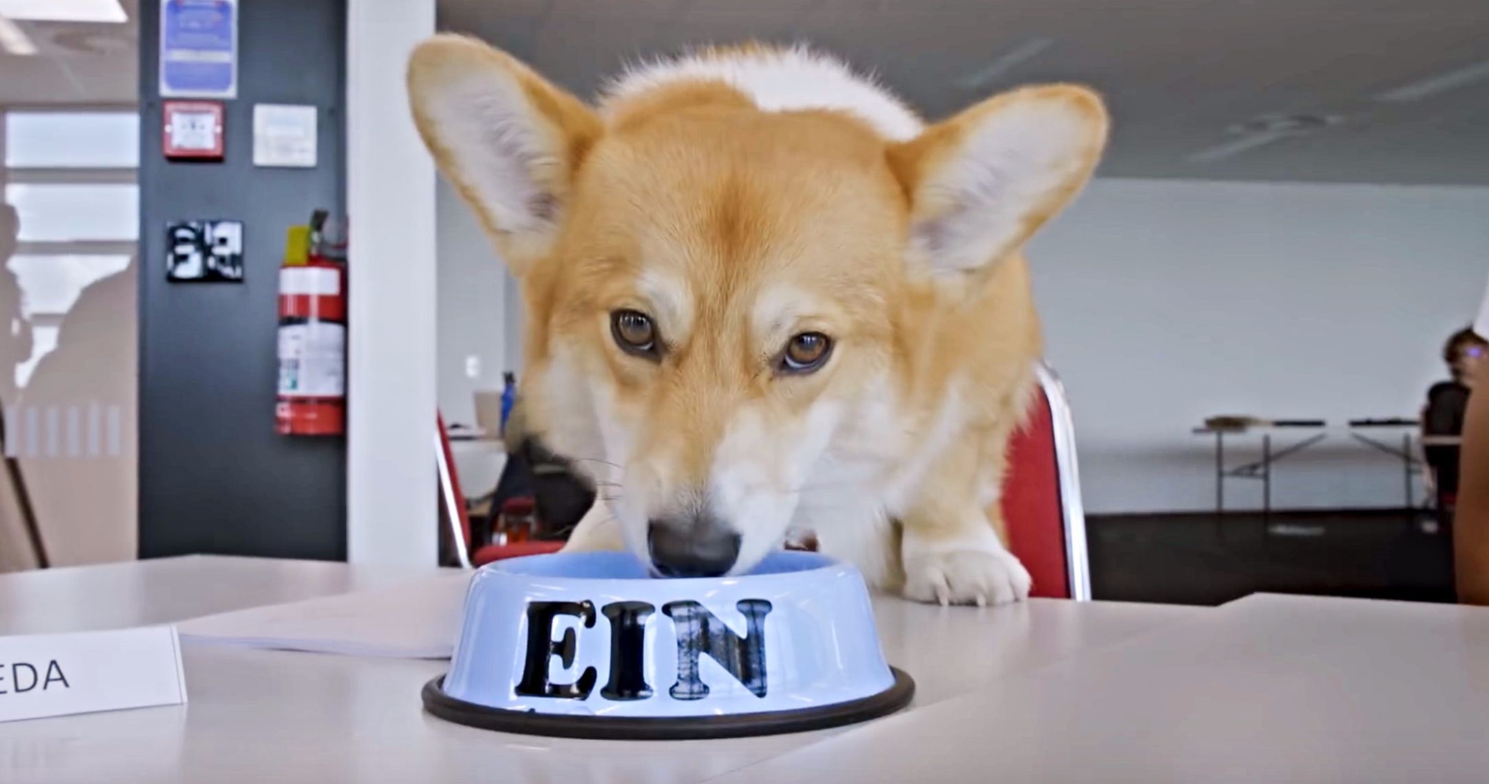 Netflix's Cowboy Bebop First Look Video Goes On Set with Ein the Dog