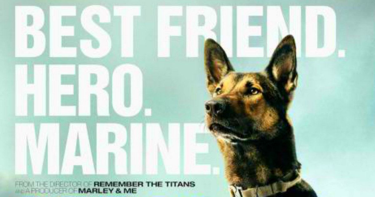 Max International Trailer: A Military Dog Becomes A Hero