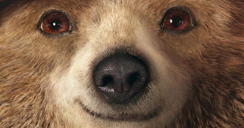 Paddington Poster Introduces Paddington Bear to the Real World