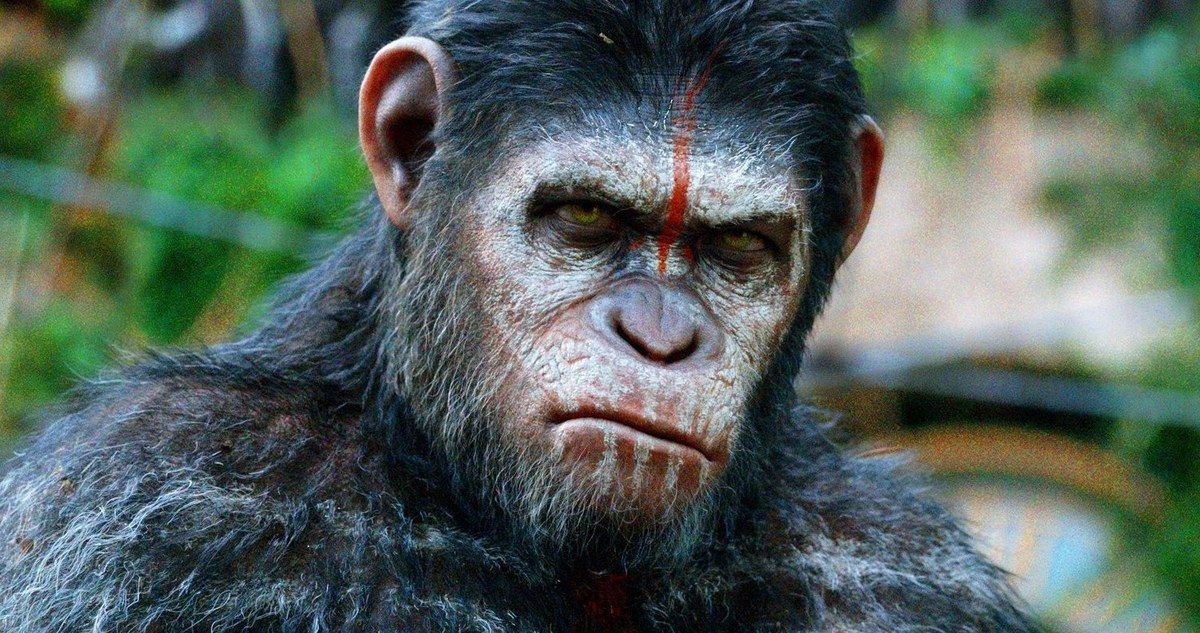 Planet of the Apes 3 Director Teases the Evolution of Caesar