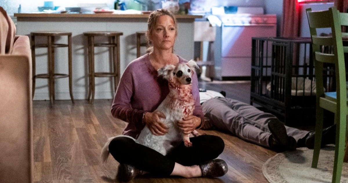 Good Boy Trailer Unleashes One Killer Dog in Hulu's Latest Into the Dark Movie