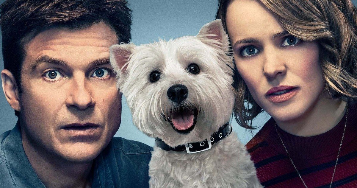 Meet Olivia, the Scene-Stealing Dog from Widows &amp; Game Night