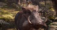 Timon And Pumbaa Real