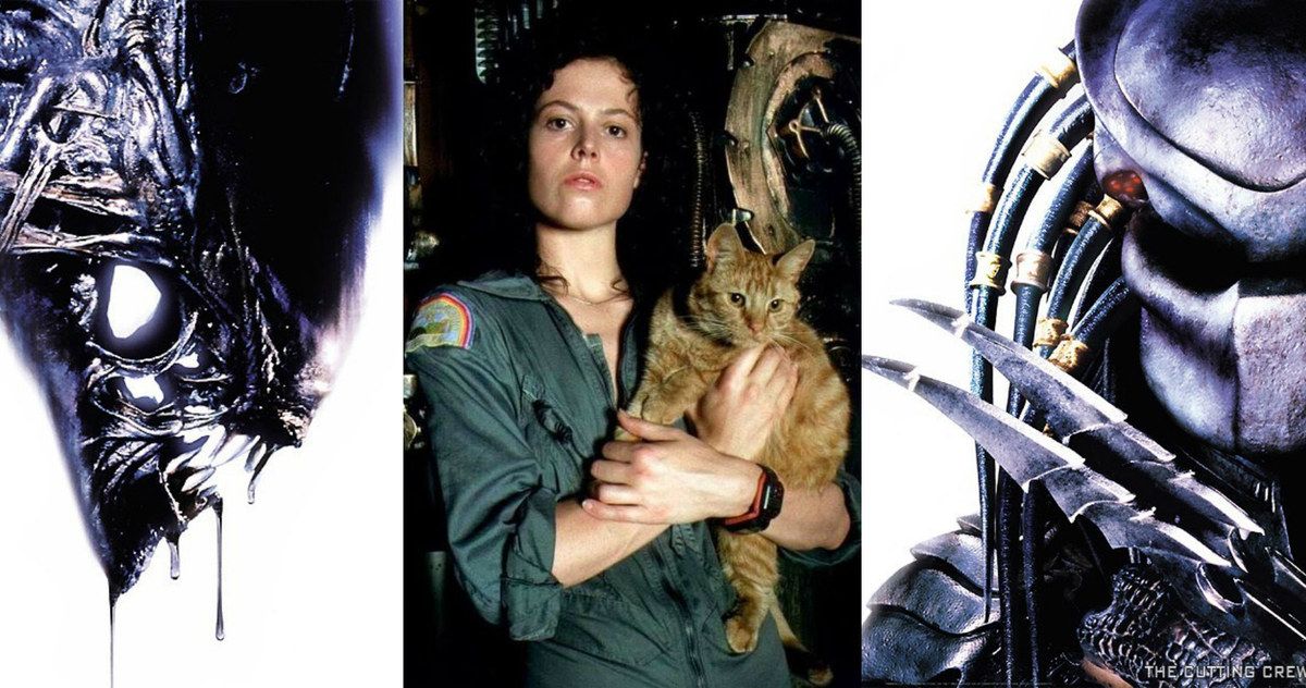 Why Does Sigourney Weaver Refuse to Watch Alien Vs. Predator?