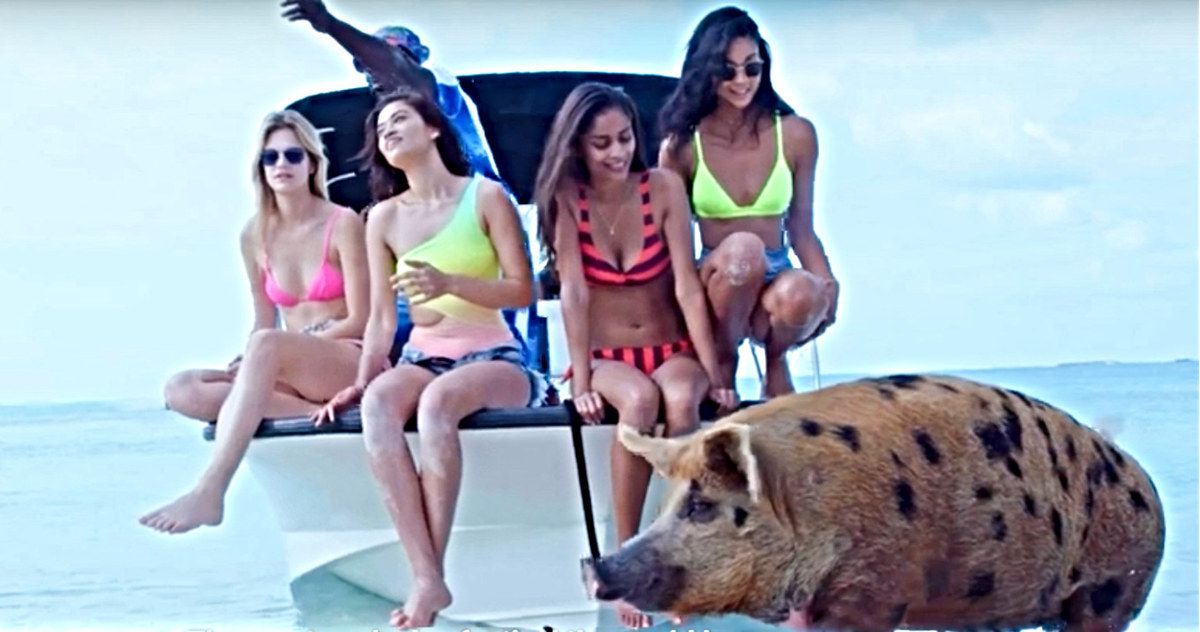 Netflix's Fyre Documentary Teaser Relives the World's Most Disastrous Music Festival