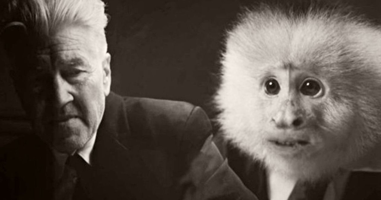 David Lynch Interrogates a Monkey Murder Suspect in His Surprise Netflix Short
