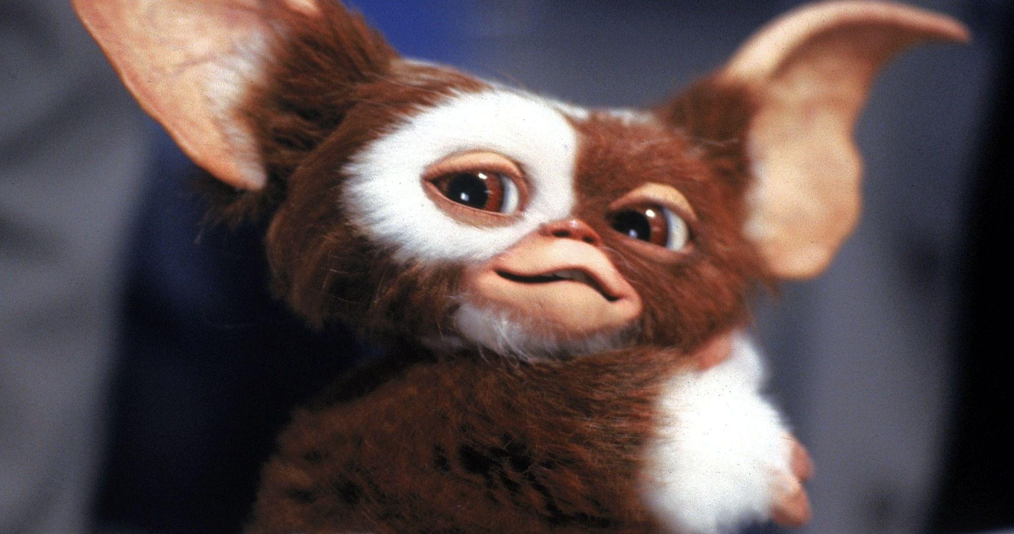 Chris Columbus Is Still Hoping to Get Gremlins 3 Made