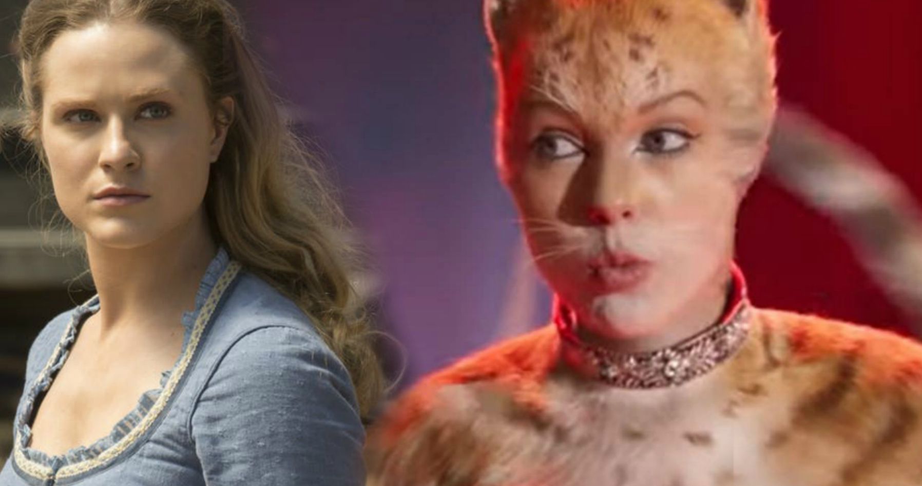 Evan Rachel Wood Has NSFW Reaction to Cats: It's Maybe the Worst Thing I've Ever Seen