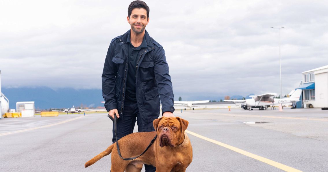 Turner &amp; Hooch First Look Brings Josh Peck and His Canine Detective to Disney+ This Summer