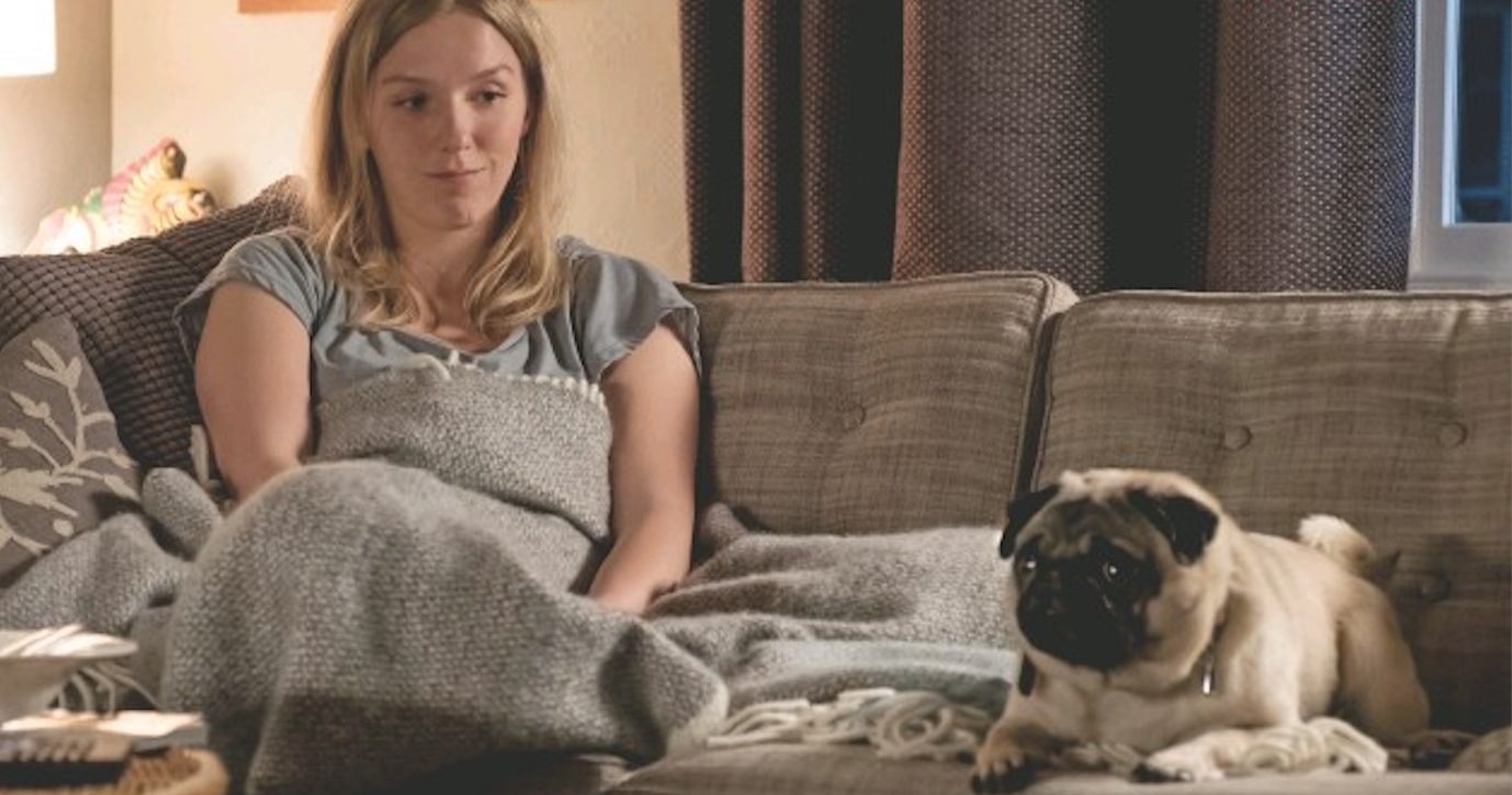 More People Would Rather Watch TV with Their Dog Than Family Claims New Study