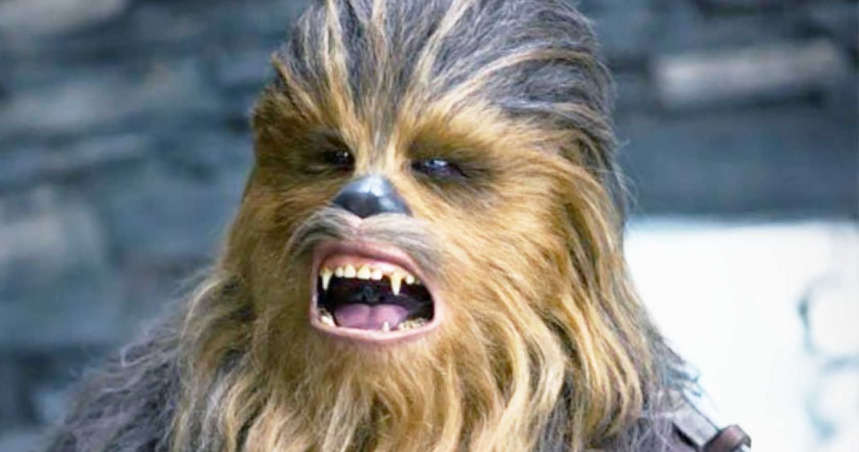 Chewbacca Actor Rages Against Toxic Rise of Skywalker Fandom on Twitter