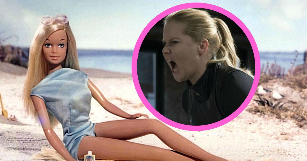 Amy Schumer Blasts Back at Barbie Backlash