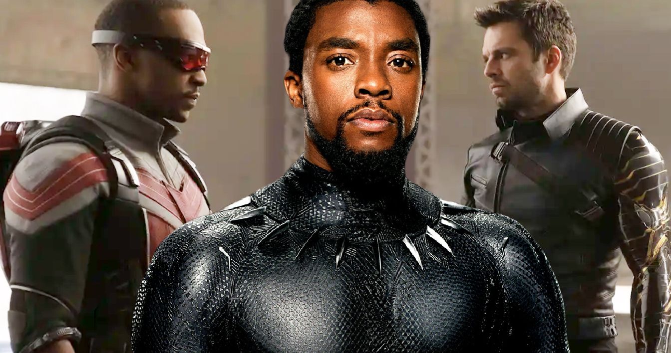 Black Panther Legacy Will Carry on in The Falcon and the Winter Soldier