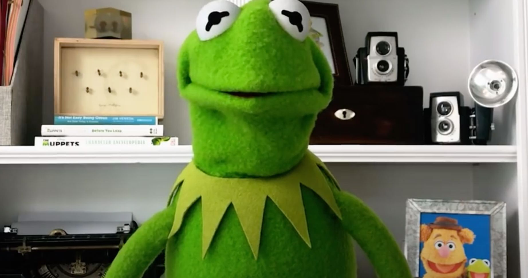New Muppets Now Trailer Arrives, and Fans Aren't So Sure About Kermit's Voice