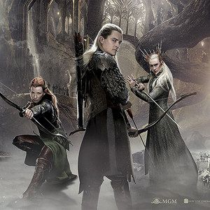 The Hobbit: The Desolation of Smaug Banner