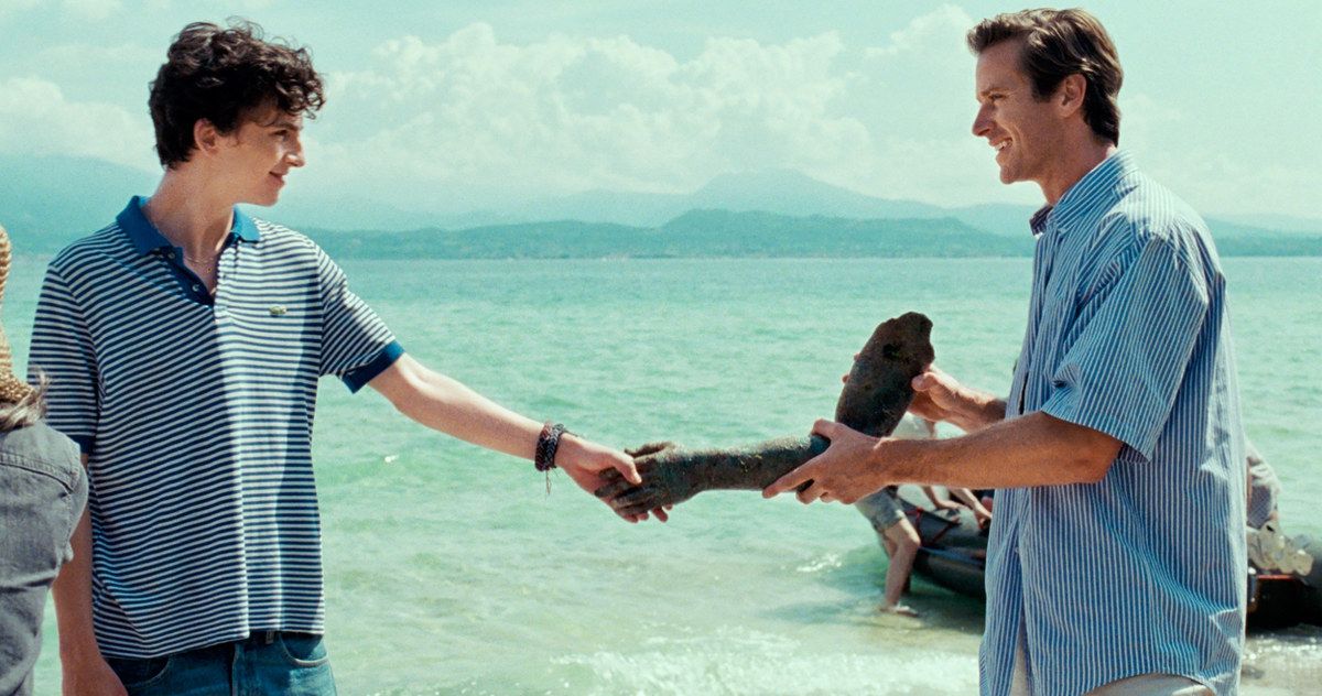 Call Me by Your Name 2 Is Being Planned, Details Revealed