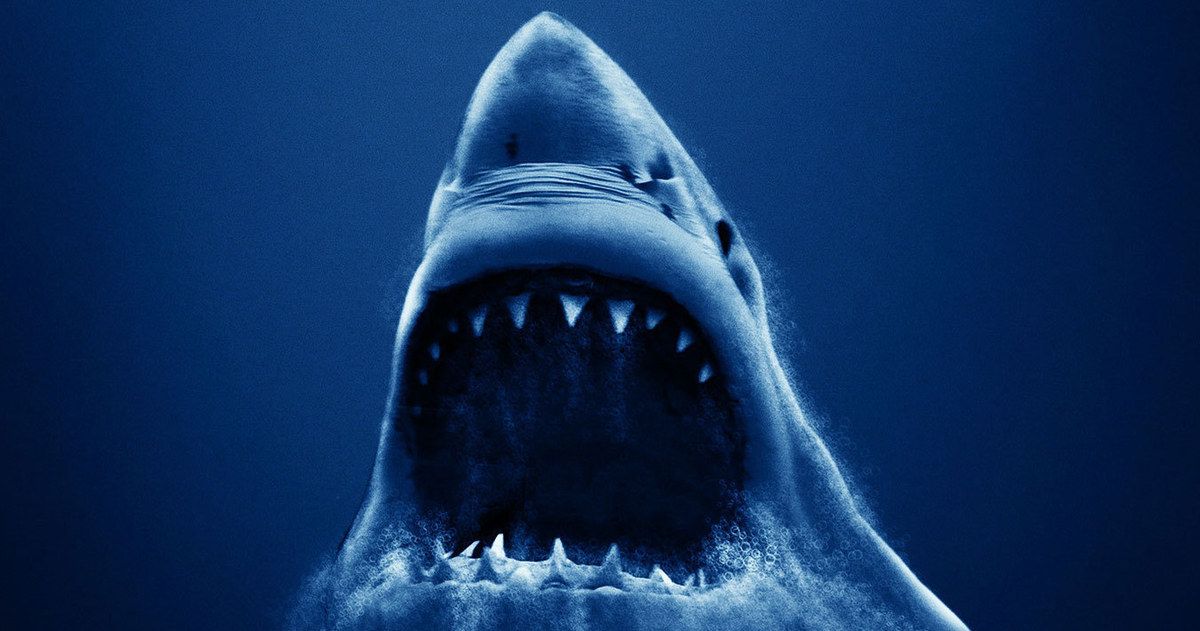 Open Water 3 Trailer Plunges Into a Shark-Filled Hell