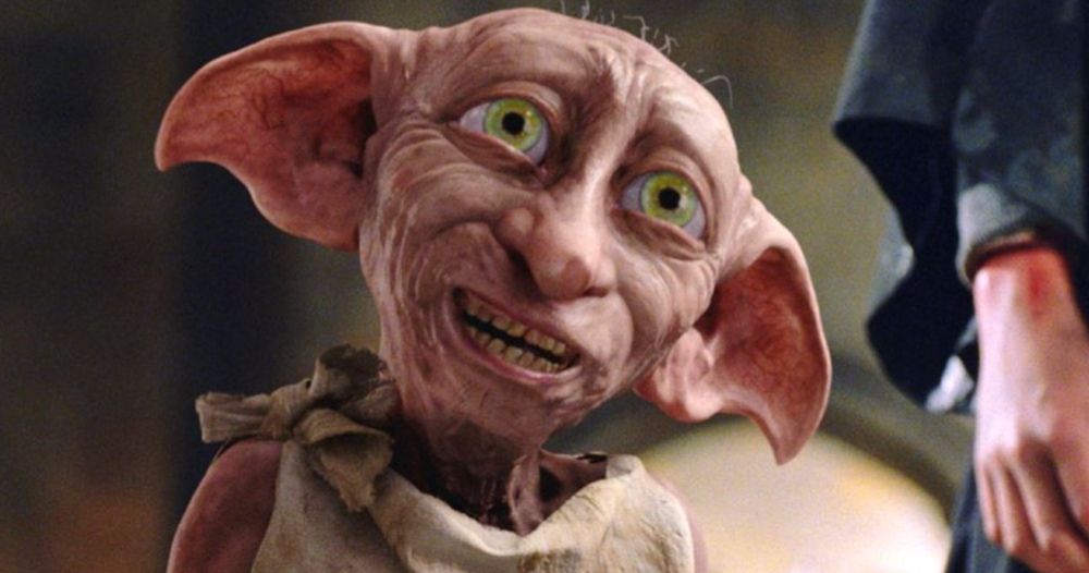 Dobby Lives as Security Camera Captures Creepy Real-Life Harry Potter Creature