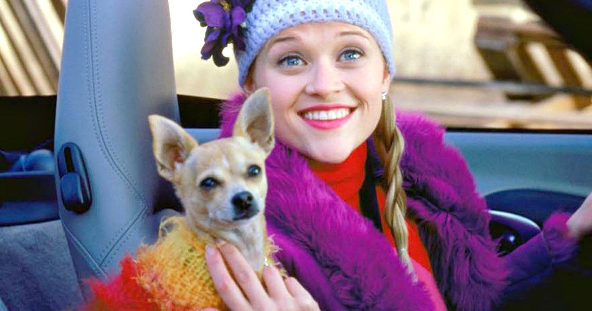 Reese Witherspoon's Legally Blonde Dog Bruiser Passes Away