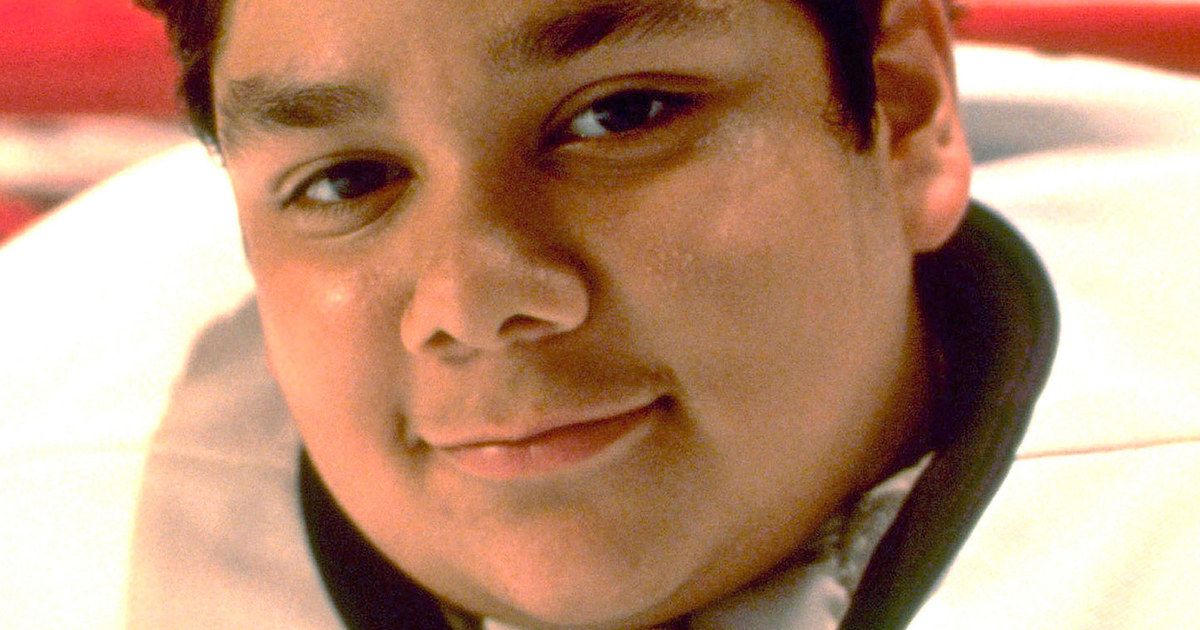 Mighty Ducks Star Arrested and the Mug Shot Is Shocking