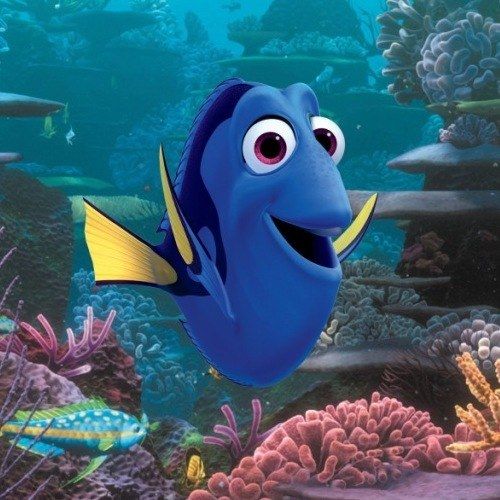 Pixar's Finding Dory Photo Announces Fall 2015 Release Date