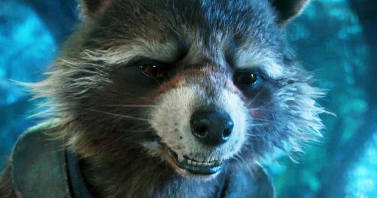Rocket Raccoon's Backstory Will Be Explored in a Future Marvel Movie