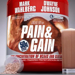Pain and Gain Poster