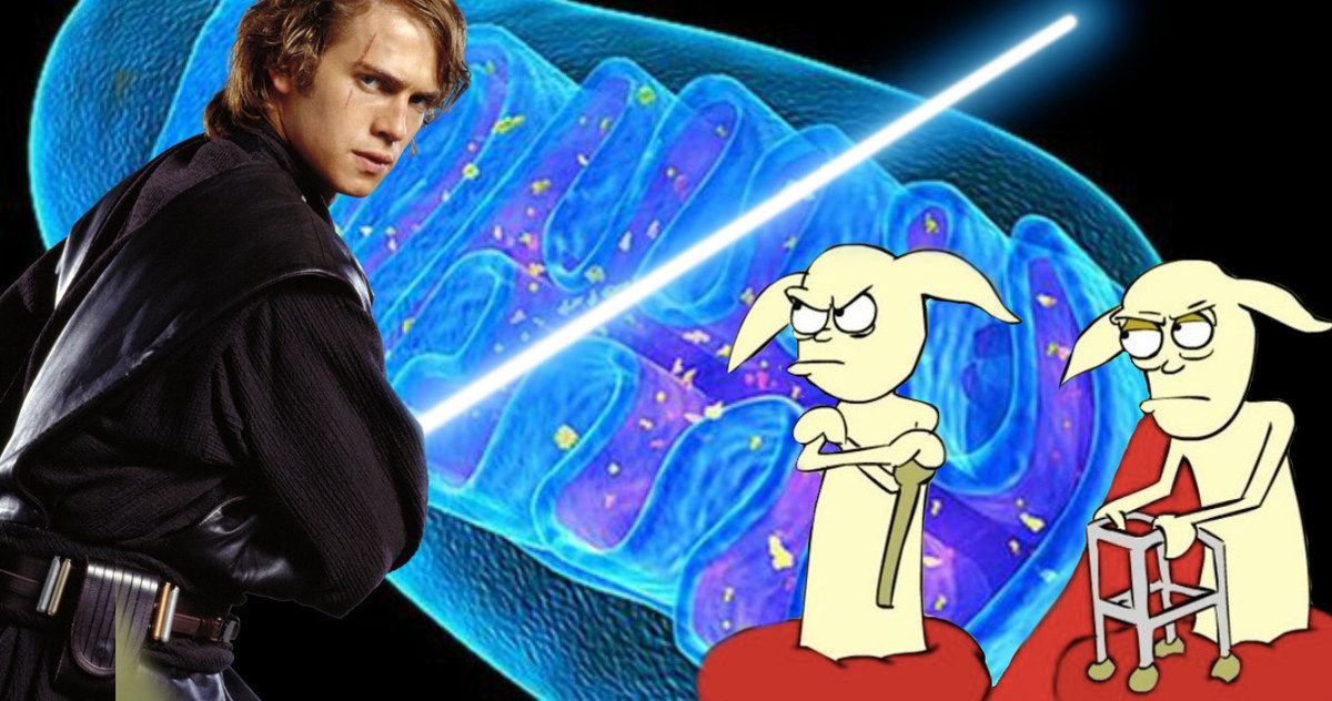 Scientists Get Fooled by Fake Star Wars Midi-Chlorian Study