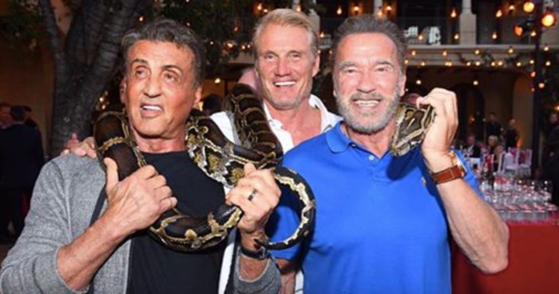 Stallone Shares Hilarious Expendables Reunion Video with Schwarzenegger &amp; Lundgren