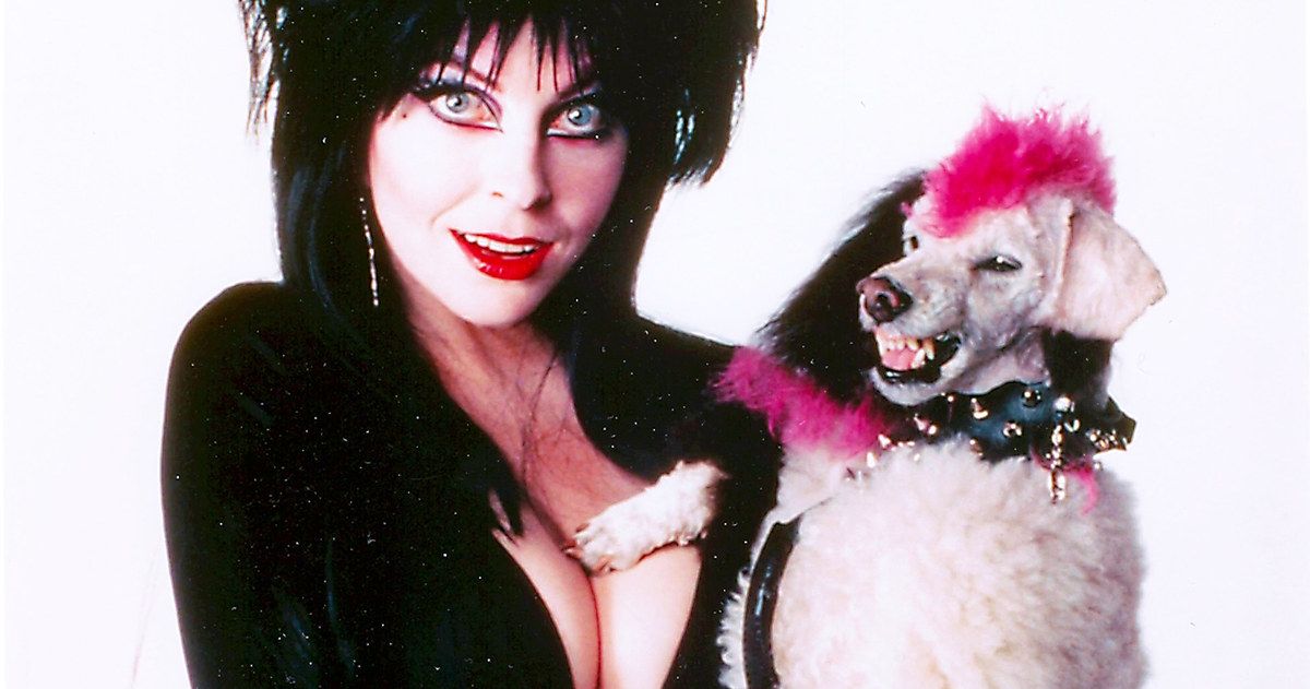 Cassandra Peterson Teases Elvira: Mistress of the Dark Sequel, Possible Netflix Series