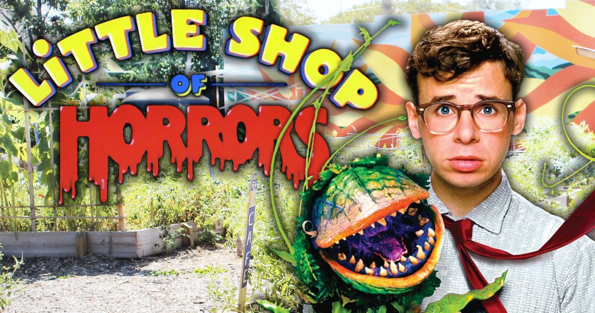 Little Shop of Horrors Remake Coming from Arrow Creator Greg Berlanti