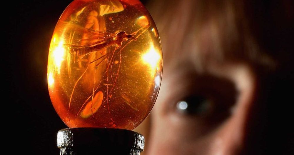 Sam Neill Compares Jurassic World 3 Delay to Insects Trapped in Amber