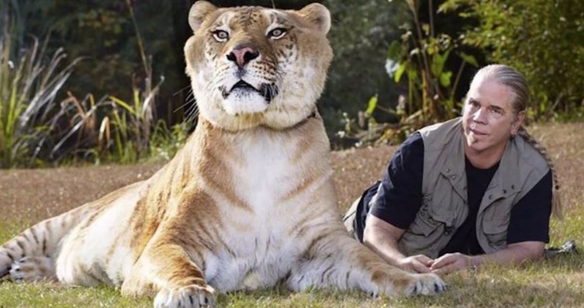 Tiger King Star Doc Antle Is Not Happy with His Portrayal on Netflix