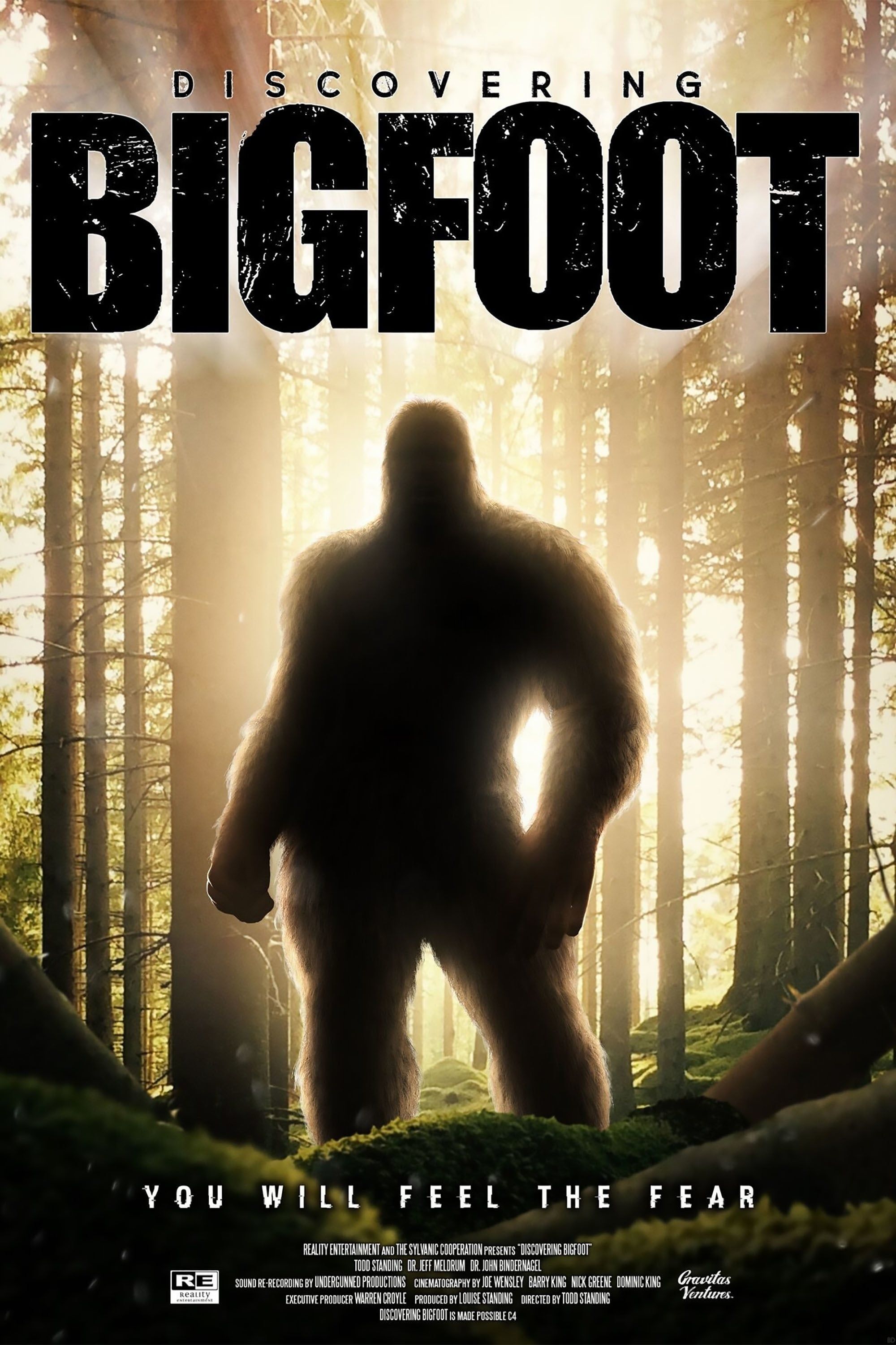 Discovereing Bigfoot