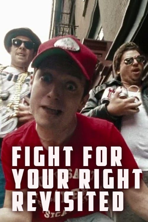 Fight for Your Right (Revisited)