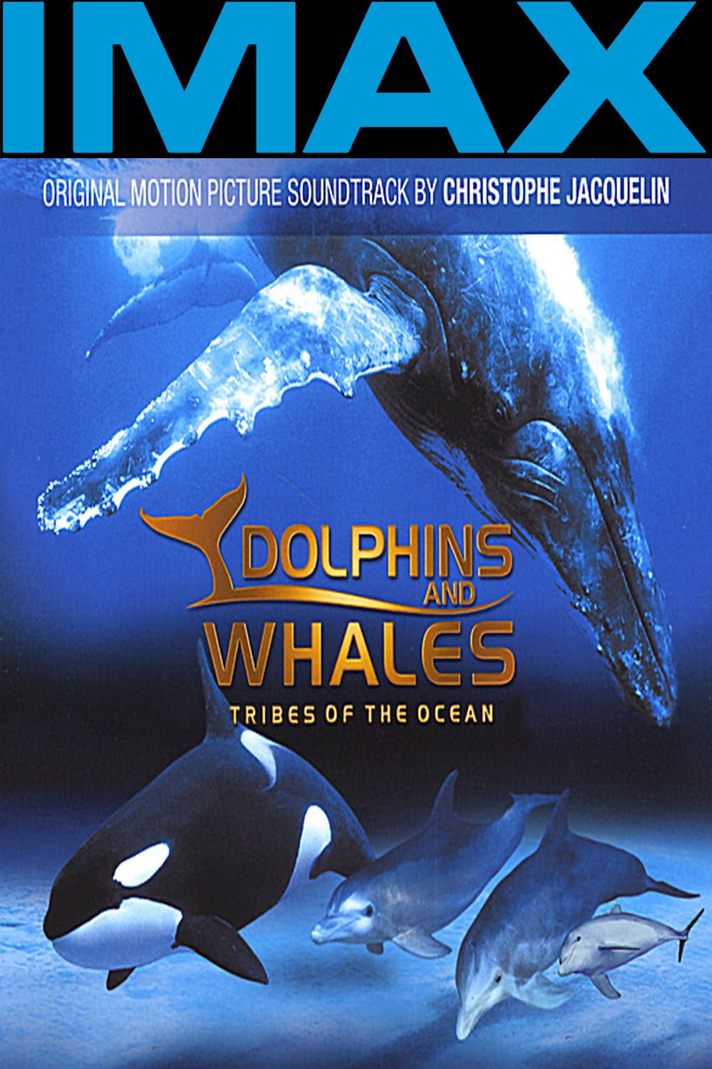 Dolphins and Whales 3D: Tribes of the Ocean