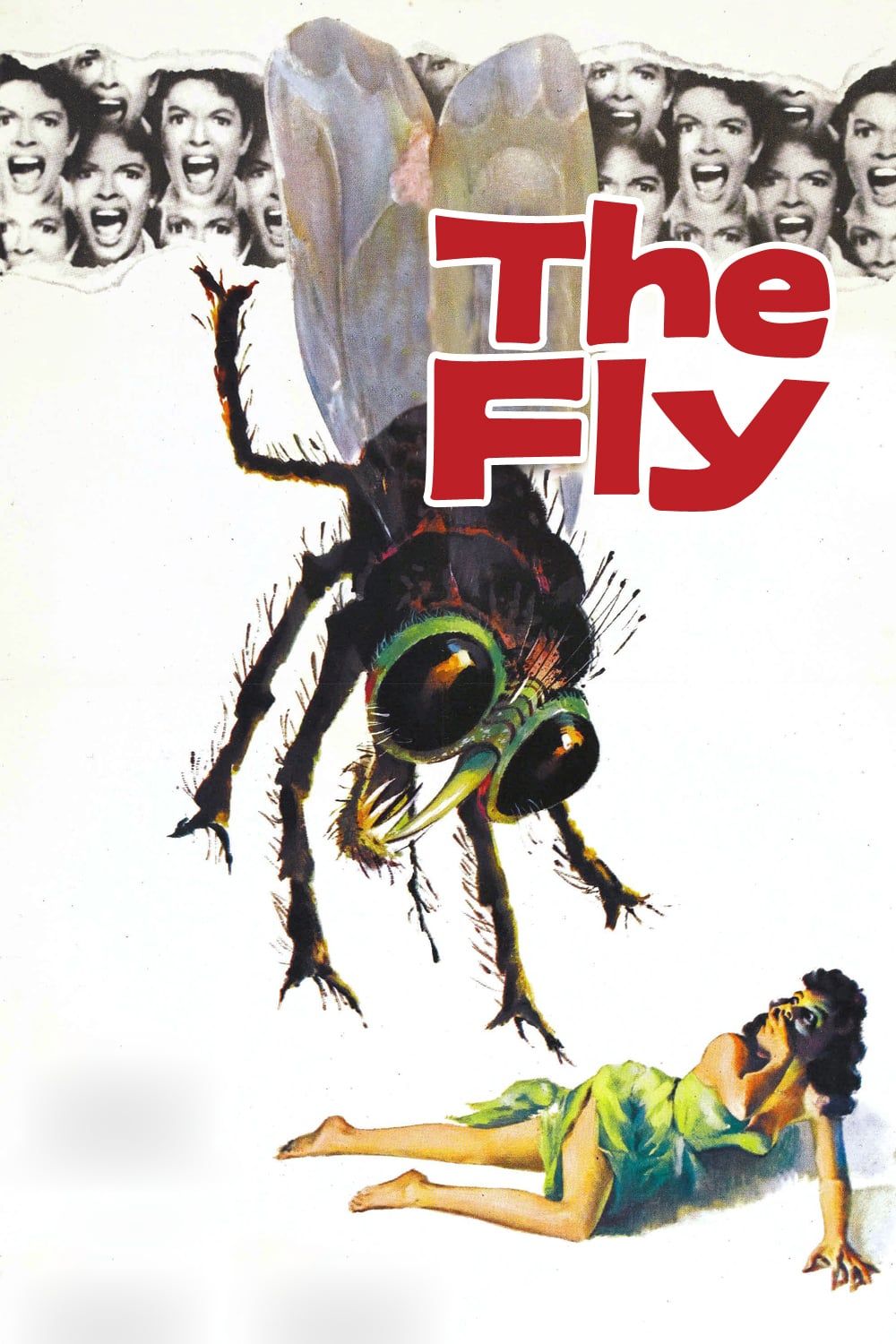 the fly