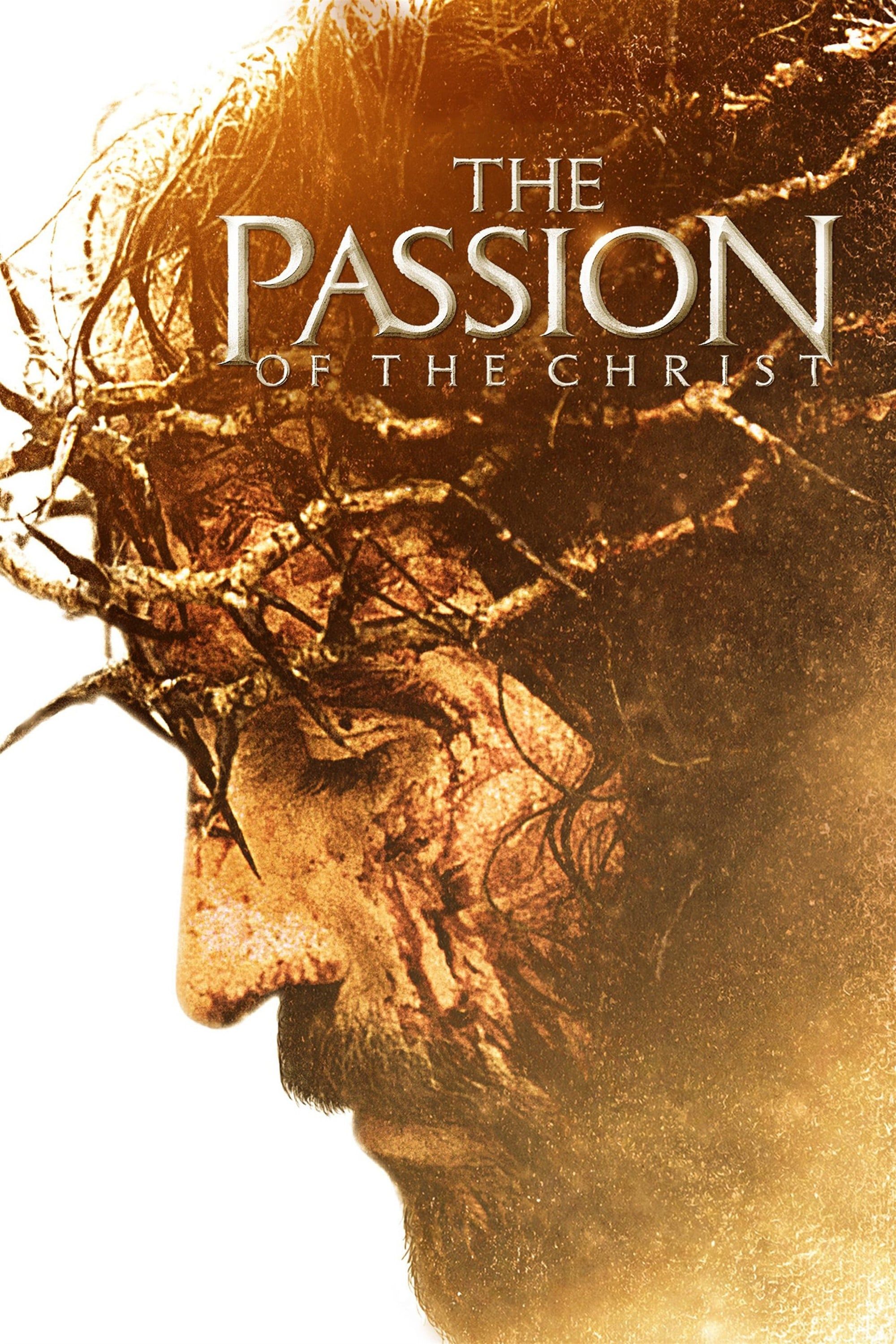 summary of the passion of christ movie