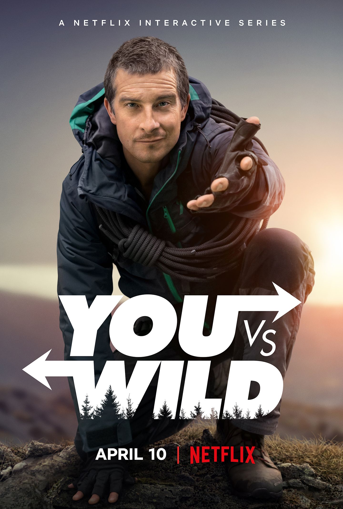 You Vs WIld Poster