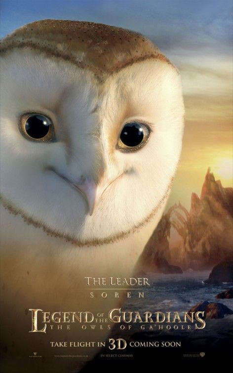 Legend of the Guardians: The Owls of Ga'Hoole Character Poster #8