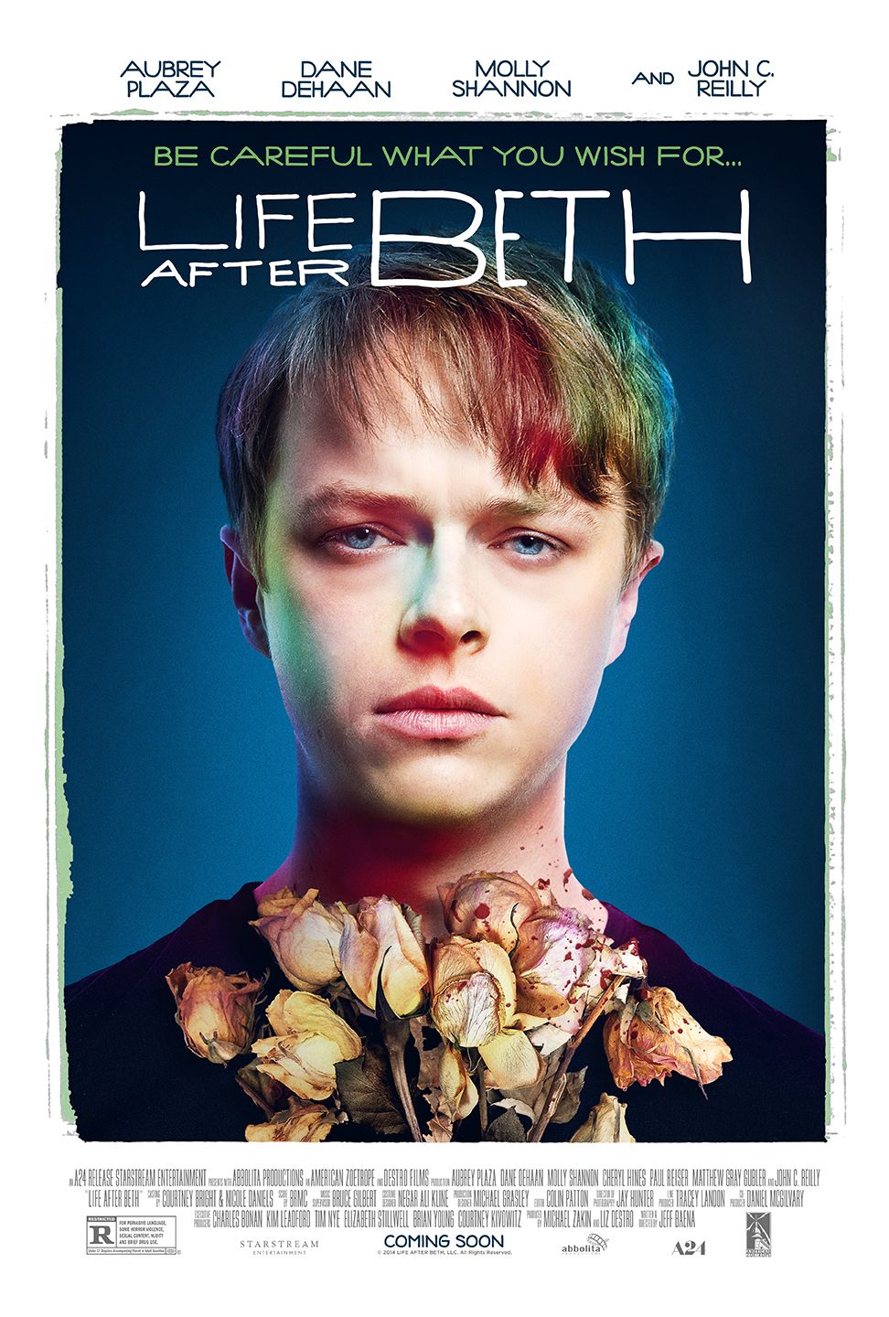 Life After Beth Poster #2