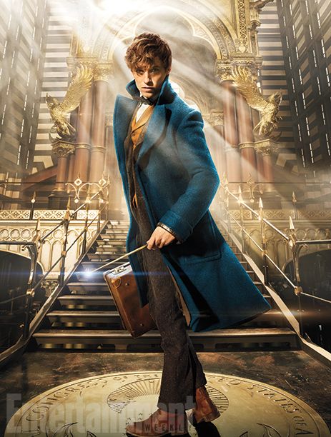 Fantastic Beasts and Where to Find Them Photo 8