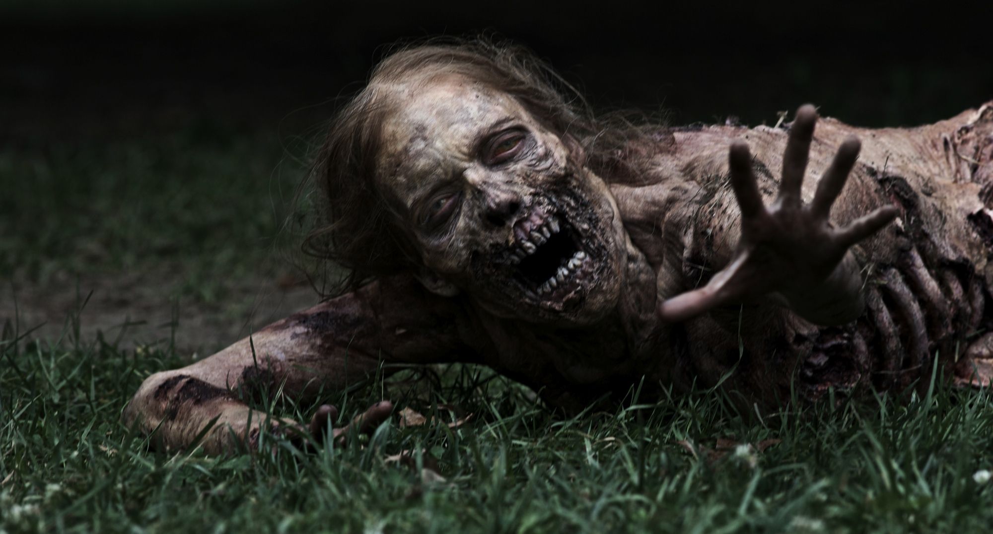 The Walking Dead Image #1