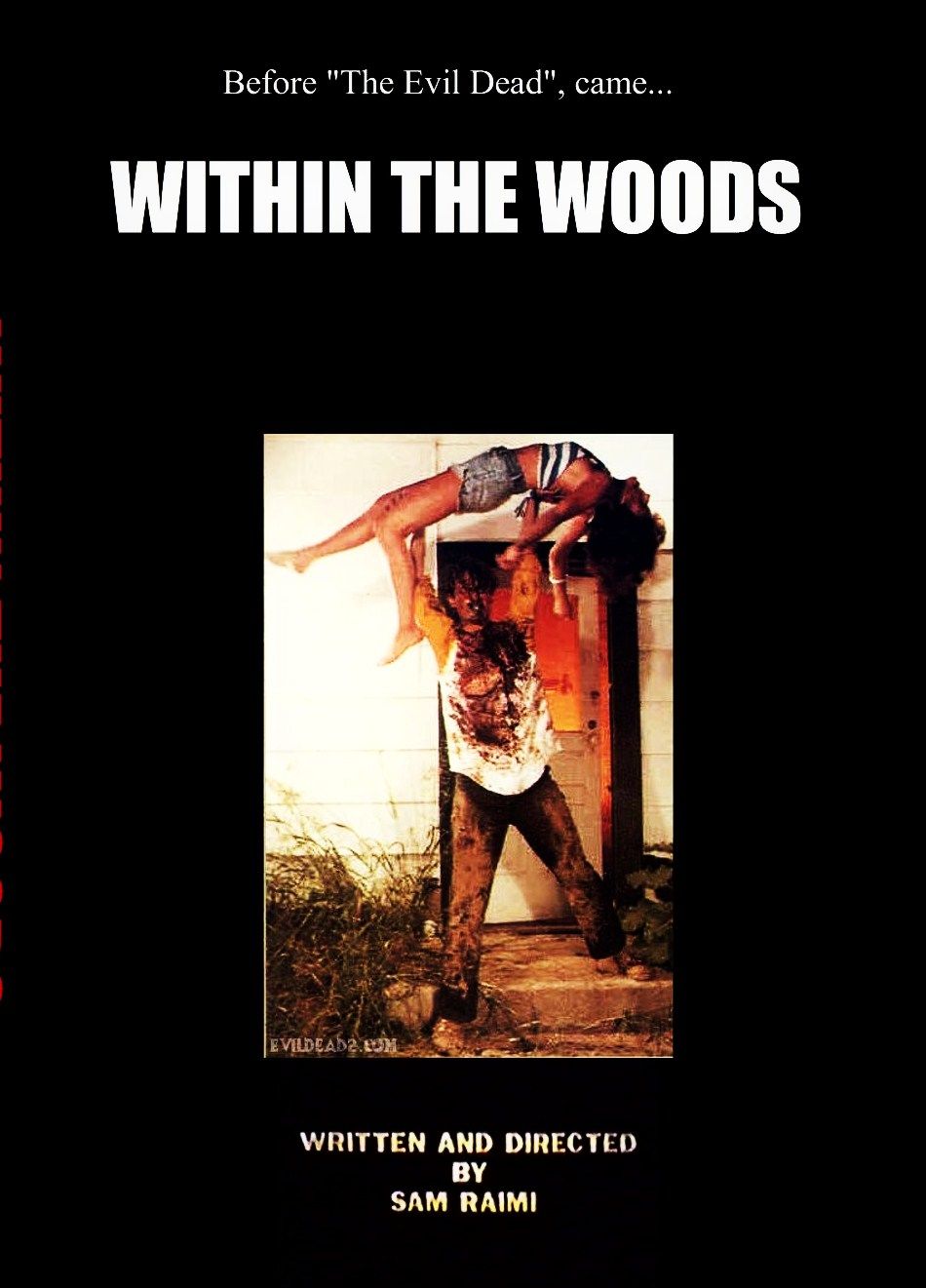 Within the Woods Poster